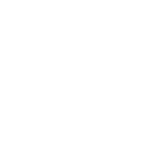 mécanicien réparation Châtenoy-le-Royal